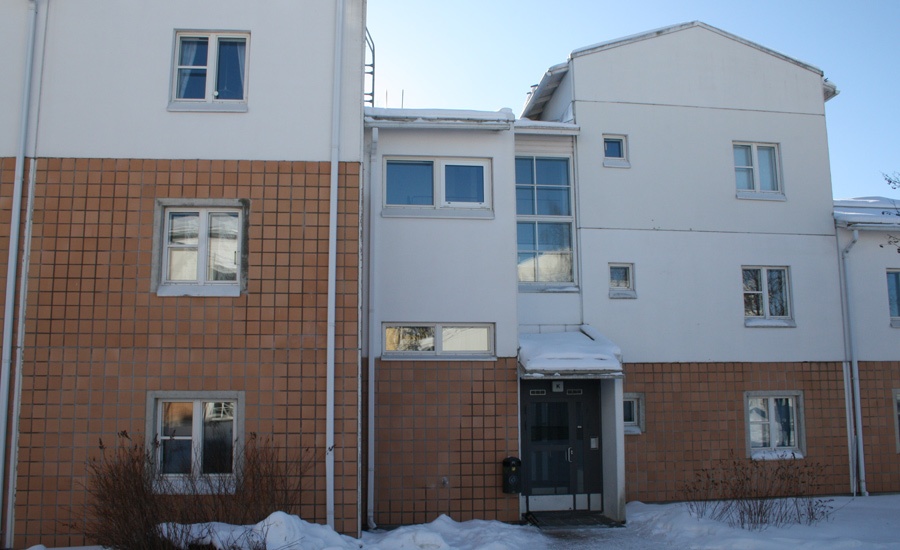 Savunpoistoikkuna